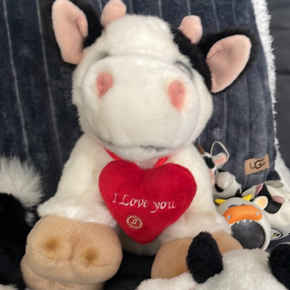 Cute Cow Collection - Picture 3 of 6
